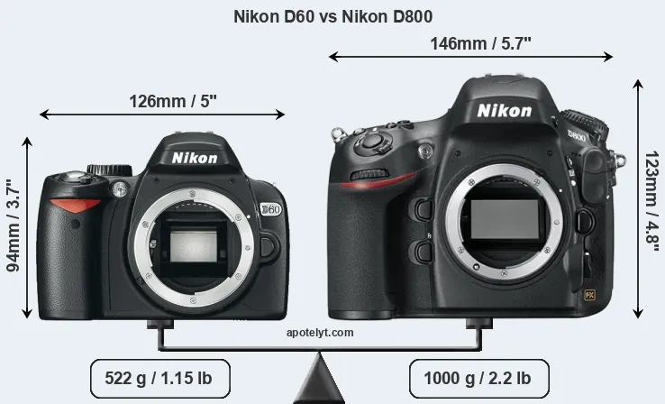 Size Nikon D60 vs Nikon D800