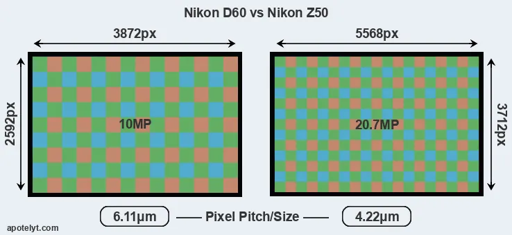 D60 versus Z50 MP