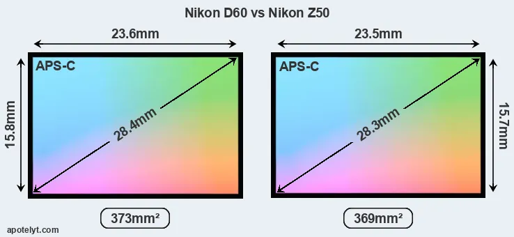 Nikon D60 and Nikon Z50 sensor measures