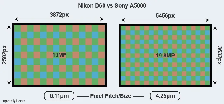 D60 versus A5000 MP