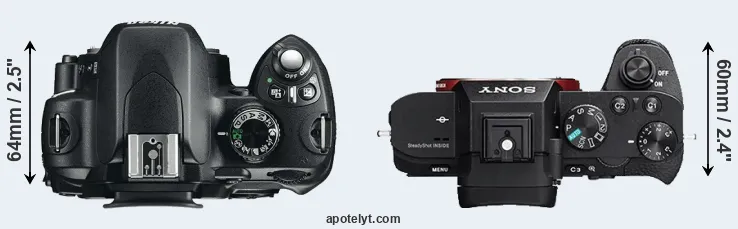 Compare D60 versus A7 II top