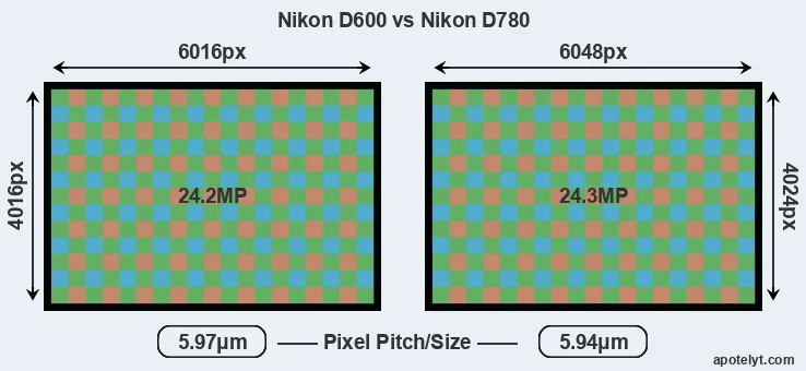 D600 versus D780 MP