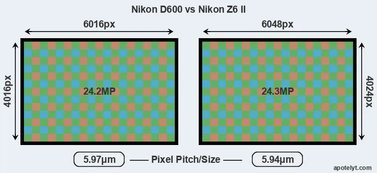 D600 versus Z6 II MP