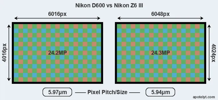 D600 versus Z6 III MP