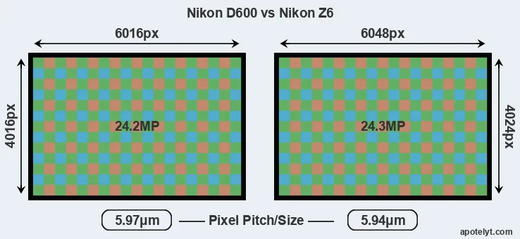 D600 versus Z6 MP