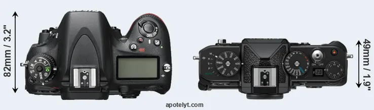 Compare D600 versus Zf top