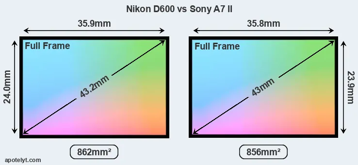 Nikon D600 and Sony A7 II sensor measures