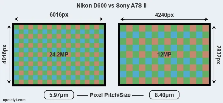 D600 versus A7S II MP