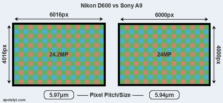 D600 versus A9 MP