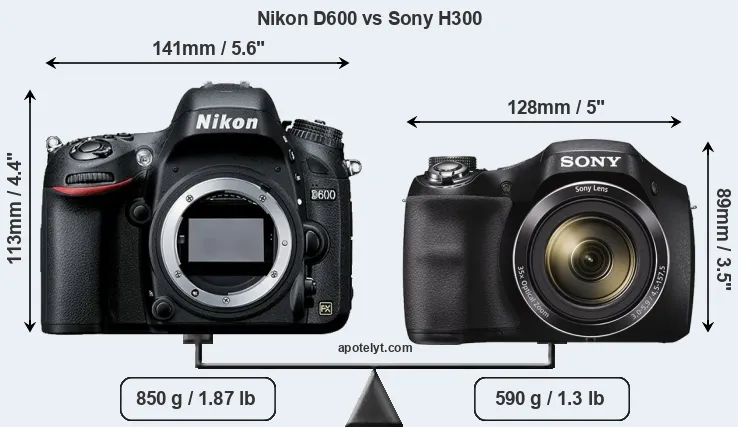 Size Nikon D600 vs Sony H300
