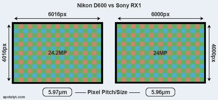 D600 versus RX1 MP