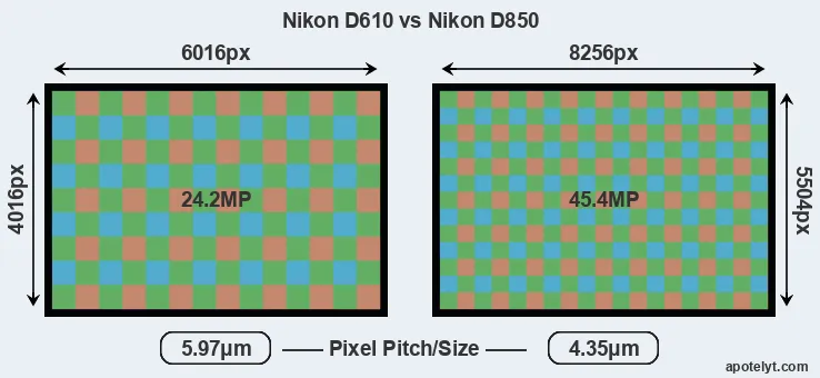 D610 versus D850 MP
