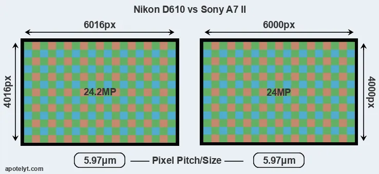 D610 versus A7 II MP