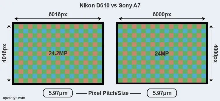 D610 versus A7 MP
