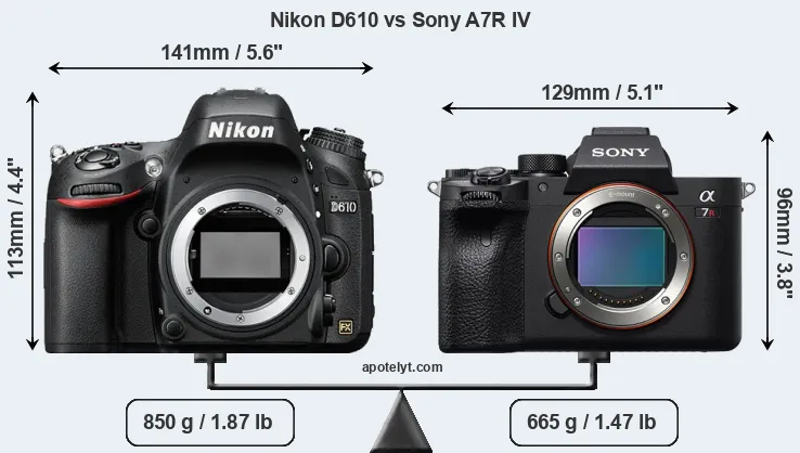 Size Nikon D610 vs Sony A7R IV