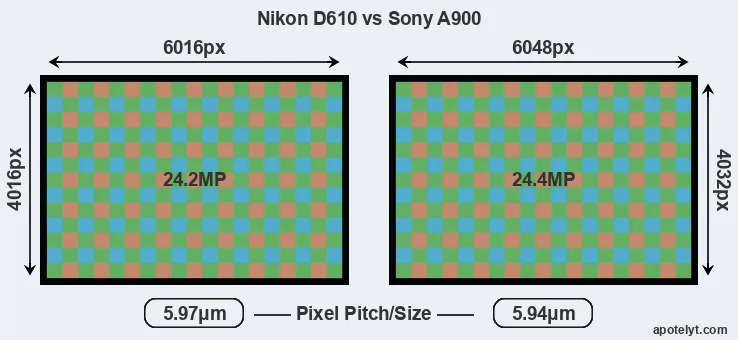 D610 versus A900 MP