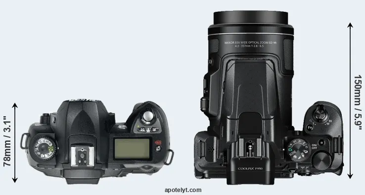 Compare D70 versus P950 top
