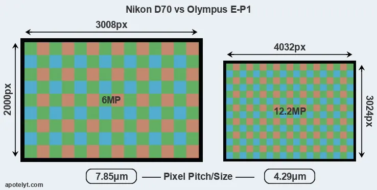 D70 versus E-P1 MP