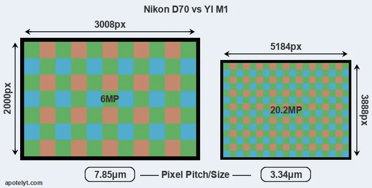 D70 versus M1 MP