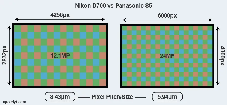 D700 versus S5 MP