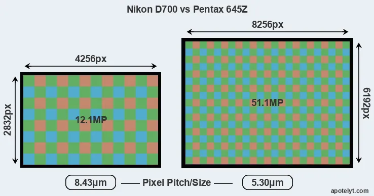 D700 versus 645Z MP