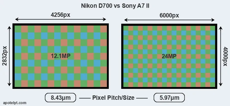 D700 versus A7 II MP