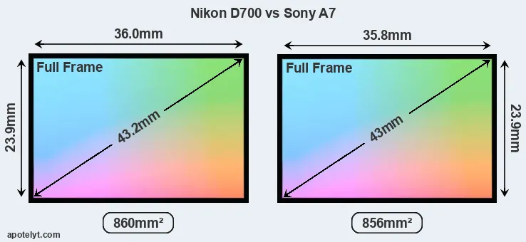 Nikon D700 and Sony A7 sensor measures