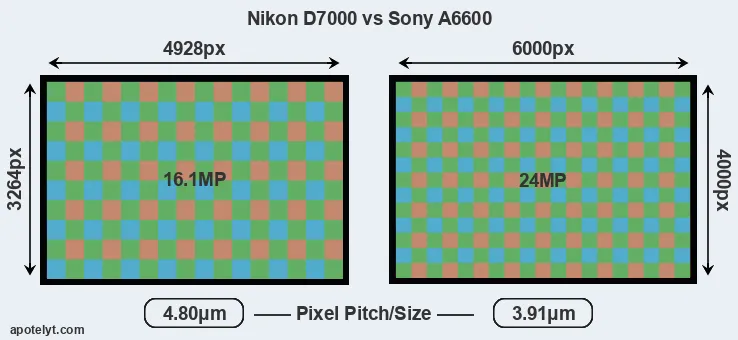 D7000 versus A6600 MP