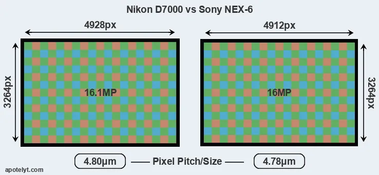 D7000 versus NEX-6 MP