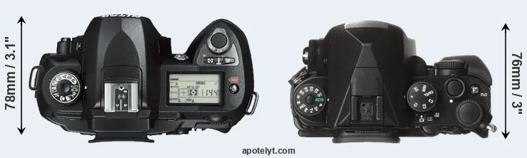 Compare D70s versus KP top