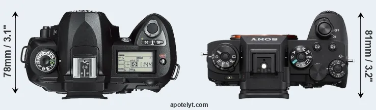 Compare D70s versus A1 top