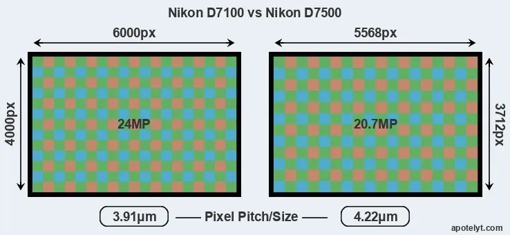 D7100 versus D7500 MP