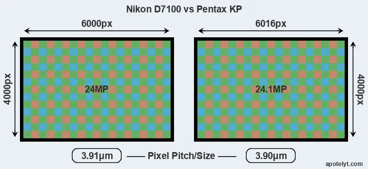D7100 versus KP MP