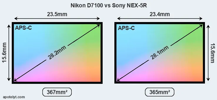 Nikon D7100 and Sony NEX-5R sensor measures