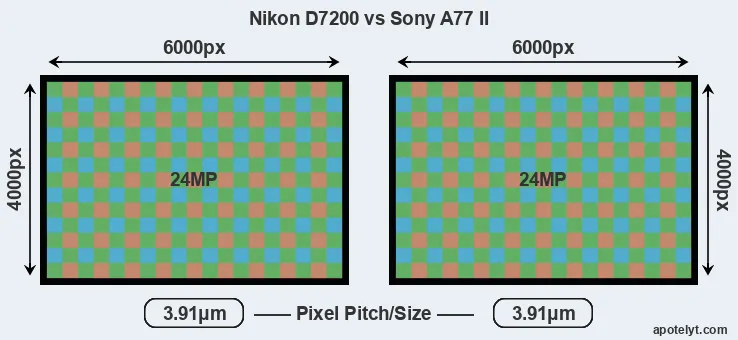 D7200 versus A77 II MP