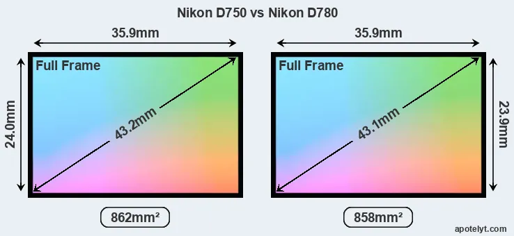 Nikon D750 and Nikon D780 sensor measures