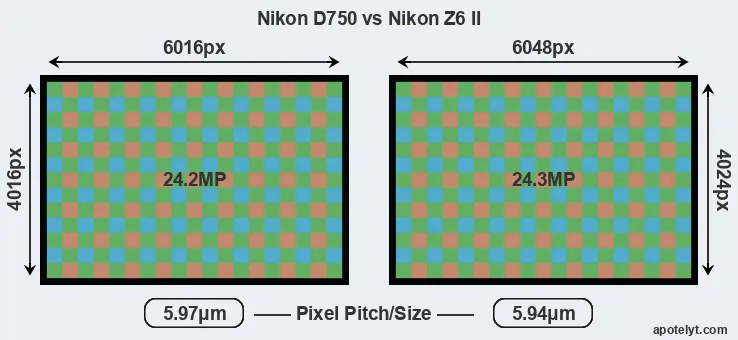 D750 versus Z6 II MP