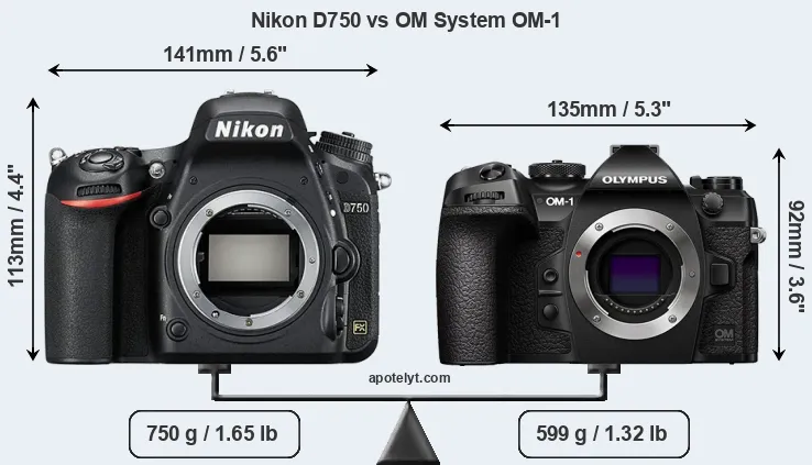 Size Nikon D750 vs OM System OM-1