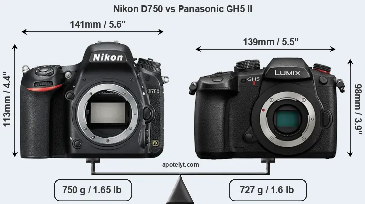 Size Nikon D750 vs Panasonic GH5 II