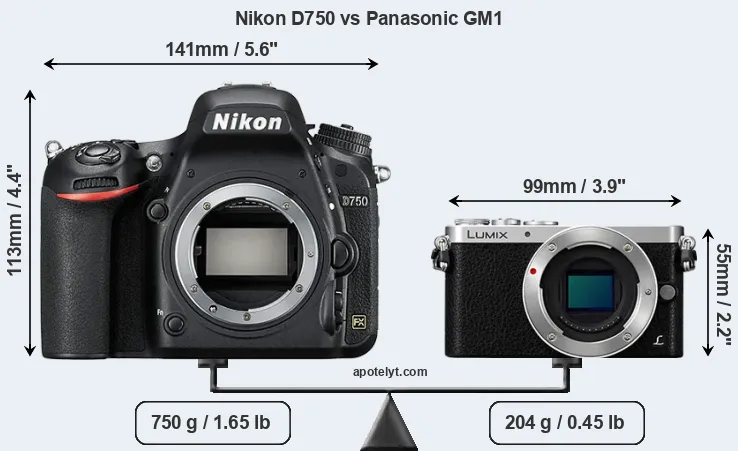 Size Nikon D750 vs Panasonic GM1