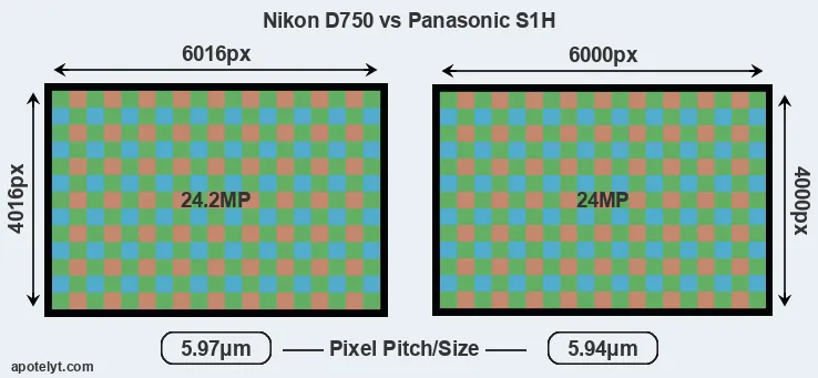 D750 versus S1H MP