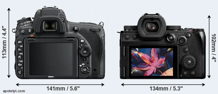 Comparison D750 or S5 II rear
