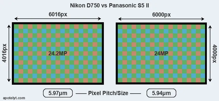 D750 versus S5 II MP