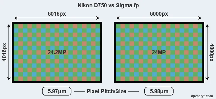 D750 versus fp MP