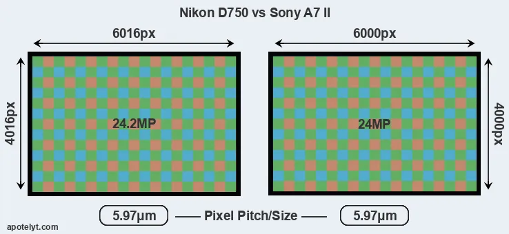D750 versus A7 II MP
