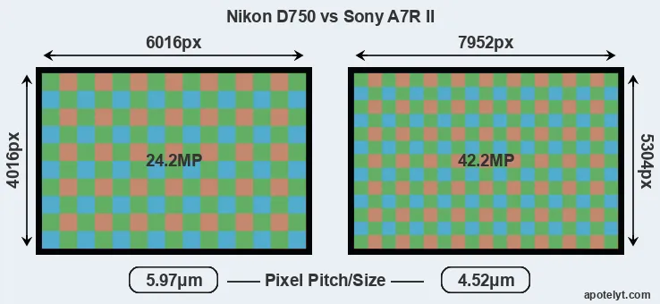 D750 versus A7R II MP