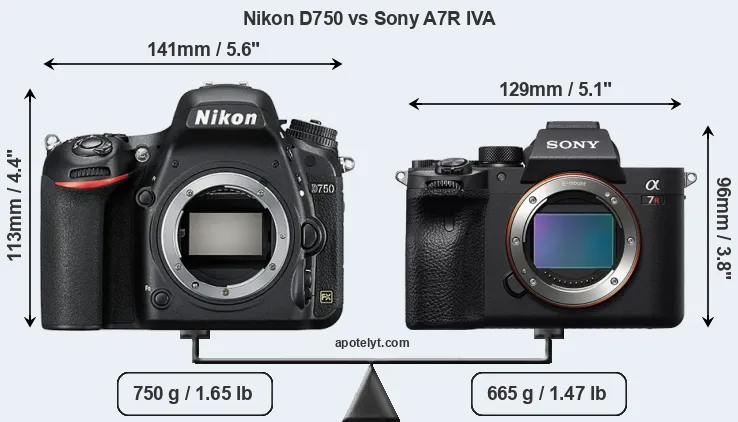 Size Nikon D750 vs Sony A7R IVA
