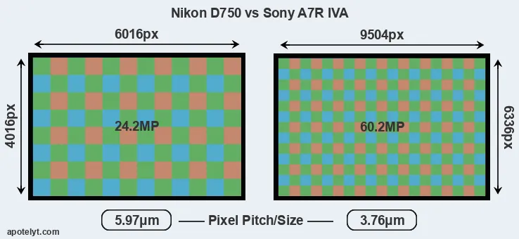 D750 versus A7R IVA MP