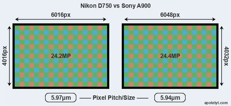 D750 versus A900 MP