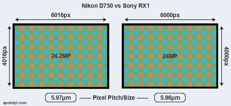 D750 versus RX1 MP